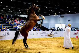 Dubai International Horse Fair 2025 | iDP Exhibition