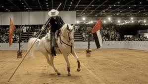 Dubai International Horse Fair 2025 | iDP Exhibition